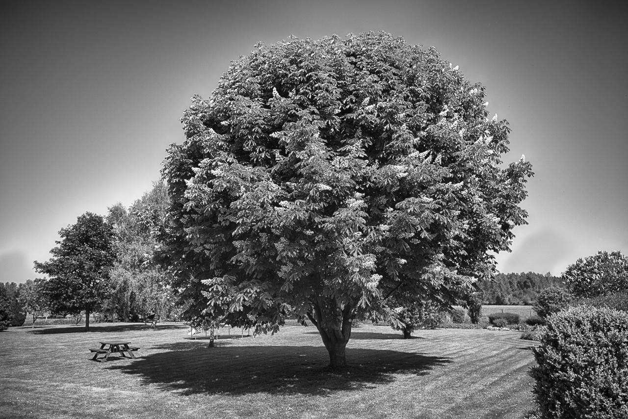 Au Jardin Fleuri Villa Vauxaillon Eksteriør bilde